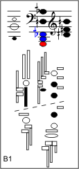 B1